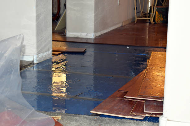 Professional Burst Pipe Cleanup technician working in Harvey, ND